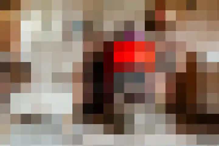 Wentholtlaan 9 Heiloo thumbnail 5