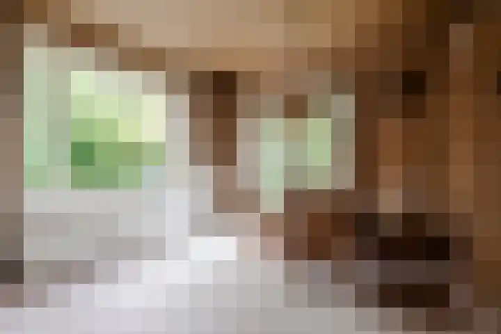 Wentholtlaan 9 Heiloo thumbnail 7