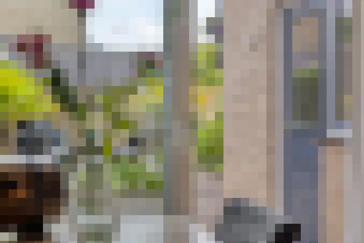 Wentholtstraat 15 Lichtenvoorde thumbnail 11