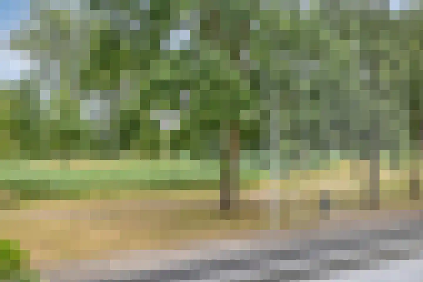 Wentholtstraat 15 Lichtenvoorde thumbnail 18