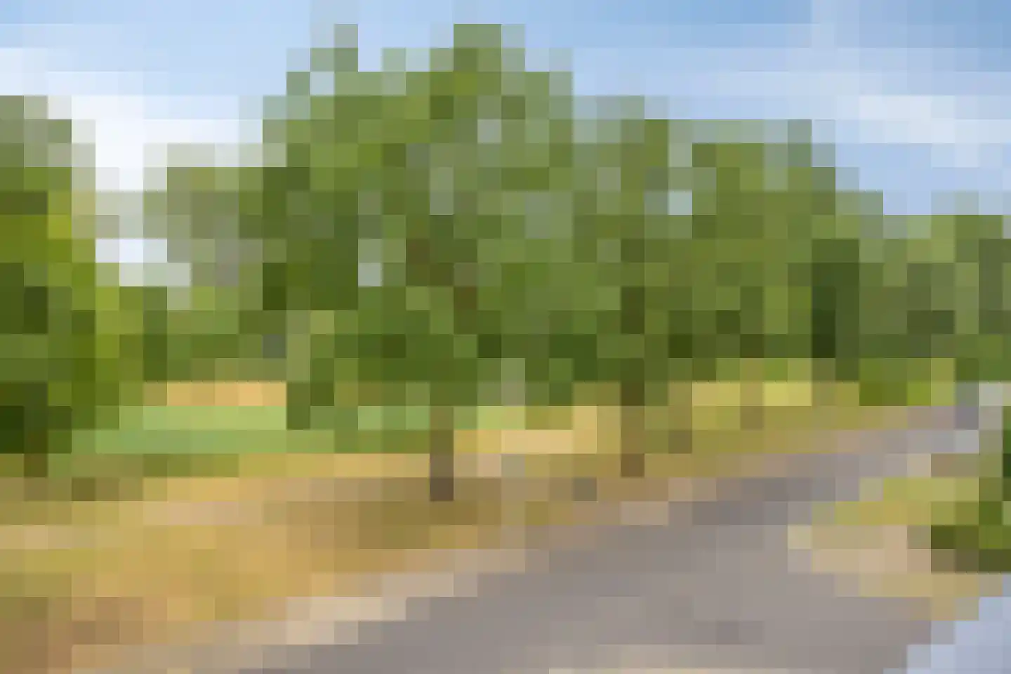 Wentholtstraat 15 Lichtenvoorde thumbnail 29