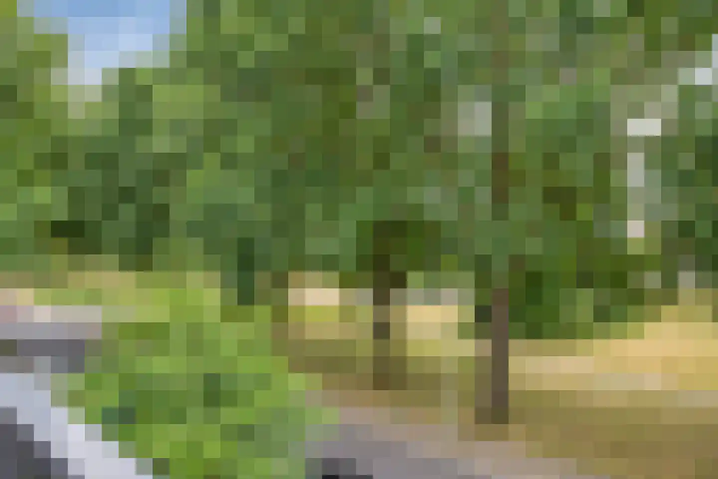 Wentholtstraat 15 Lichtenvoorde thumbnail 30