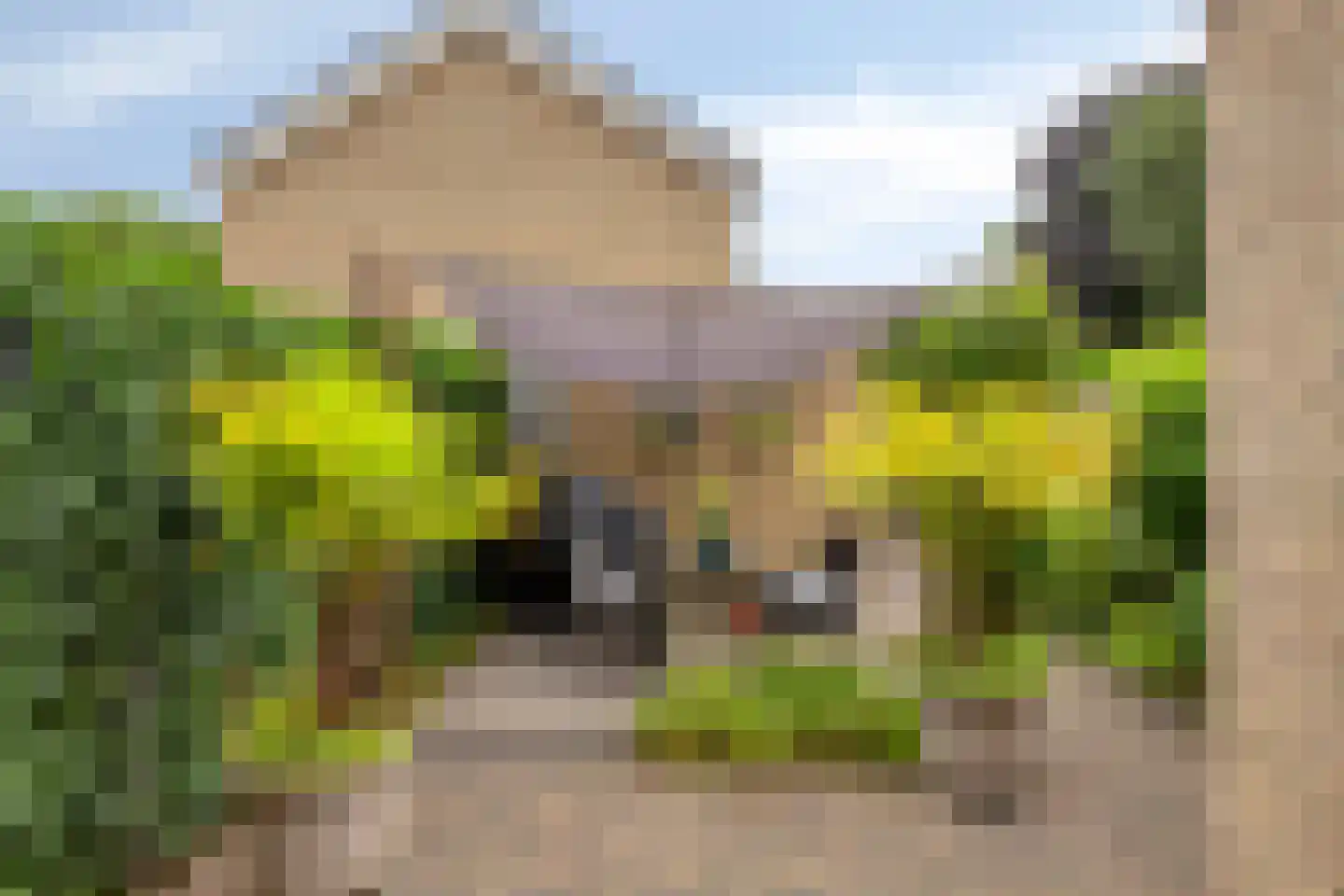 Wentholtstraat 15 Lichtenvoorde thumbnail 31