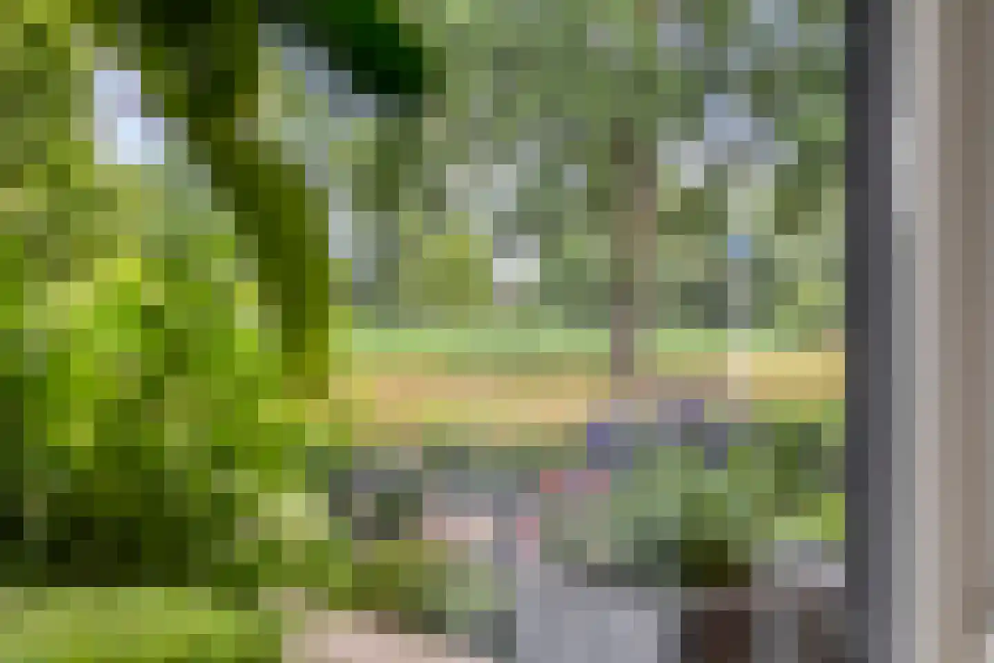 Wentholtstraat 15 Lichtenvoorde thumbnail 8