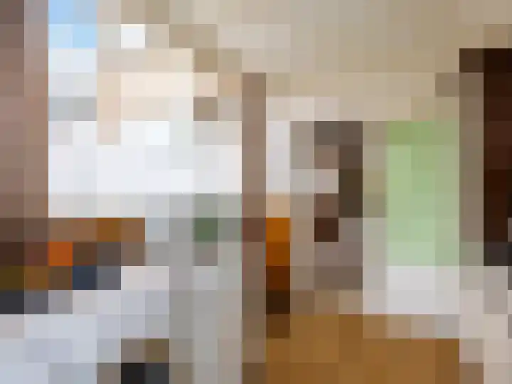 Wentholtstraat 5 Zutphen thumbnail 13