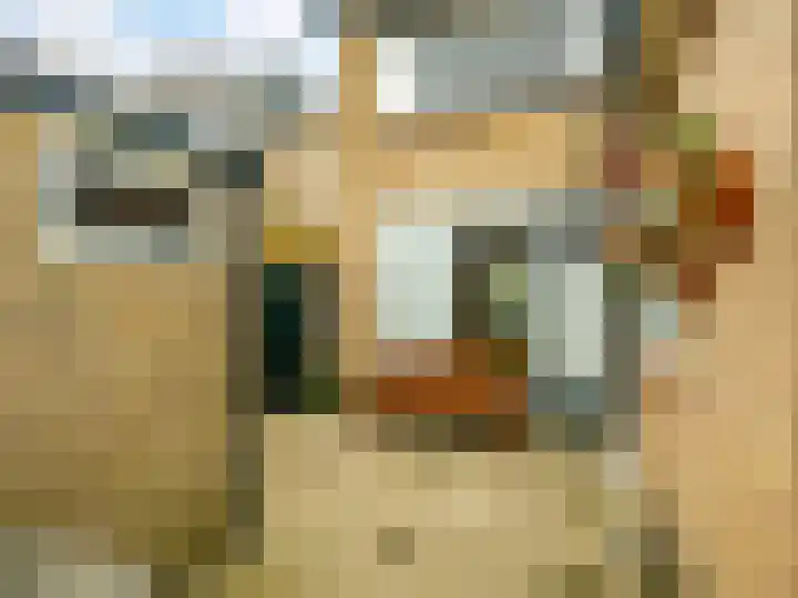 Wentholtstraat 5 Zutphen thumbnail 24