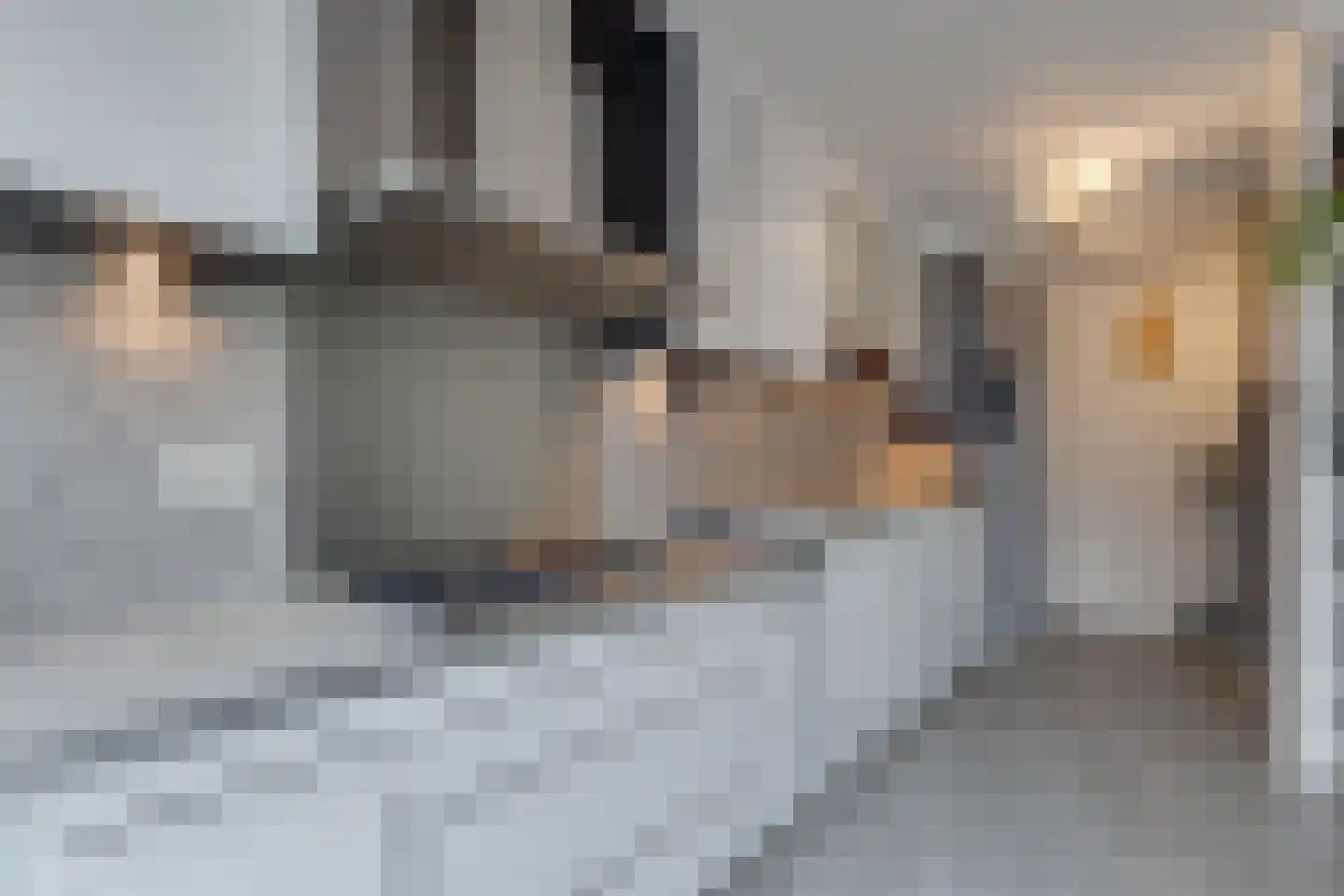 Wentholtstraat 55 Lichtenvoorde thumbnail 22