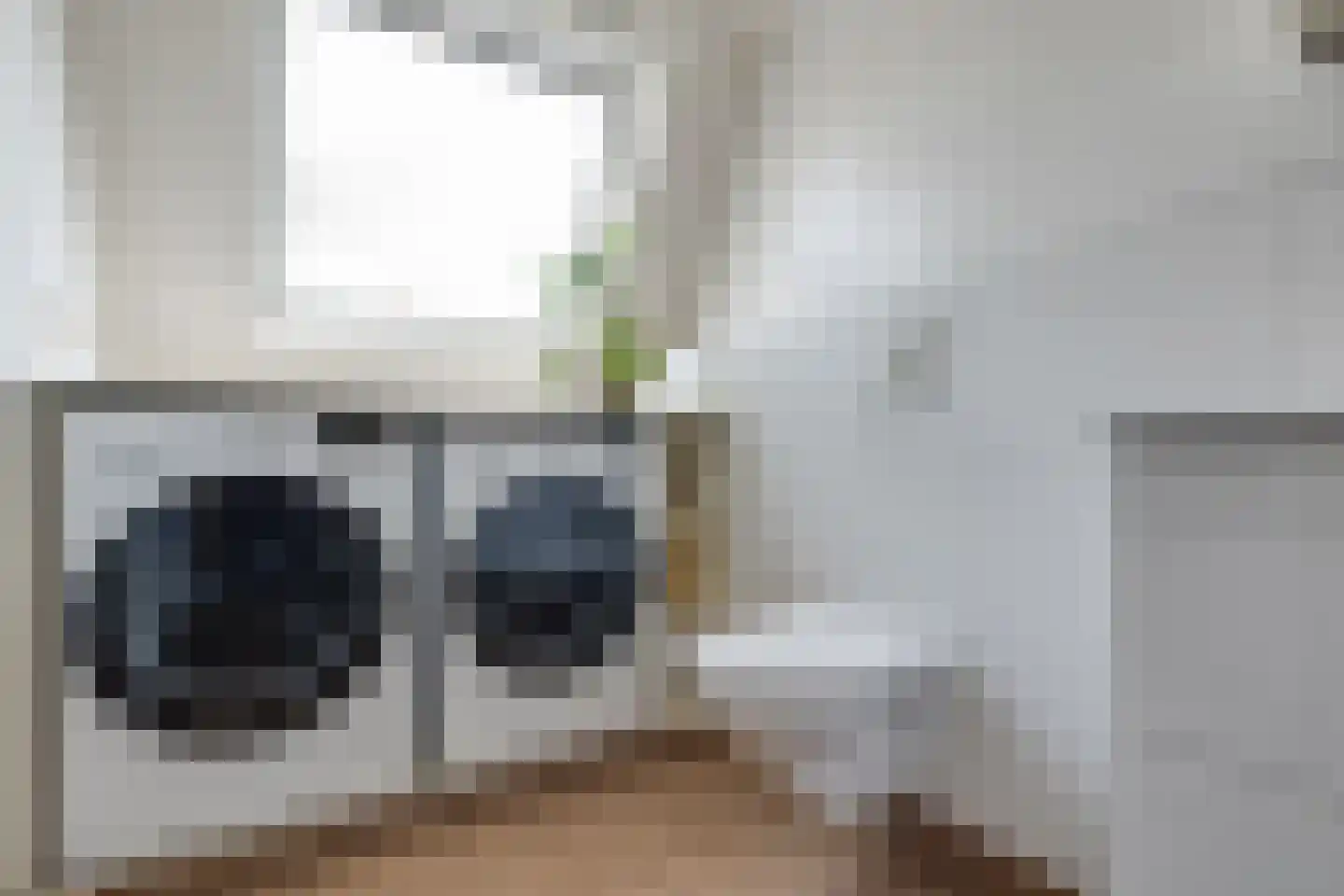 Wentholtstraat 55 Lichtenvoorde thumbnail 34