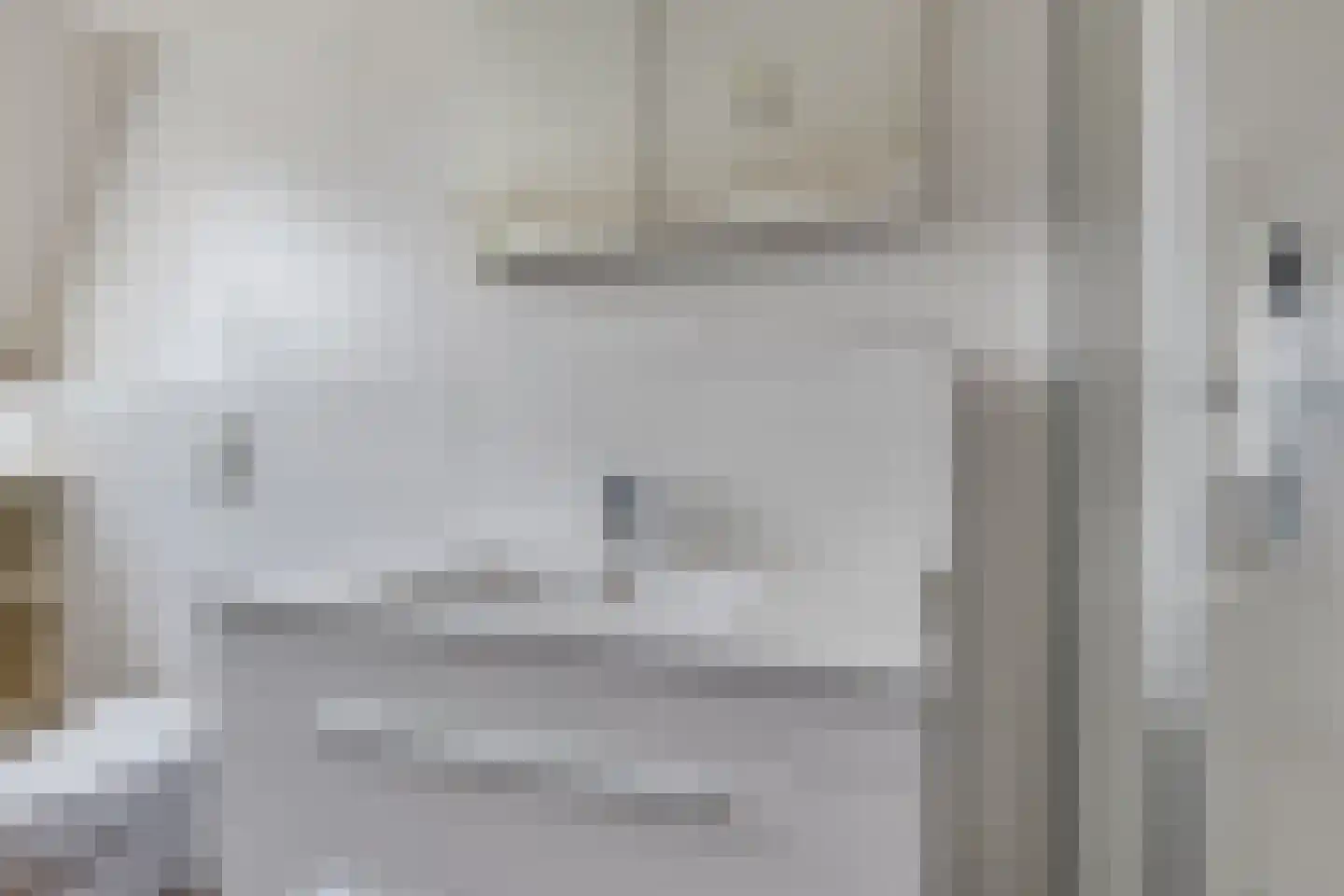 Wentholtstraat 55 Lichtenvoorde thumbnail 36