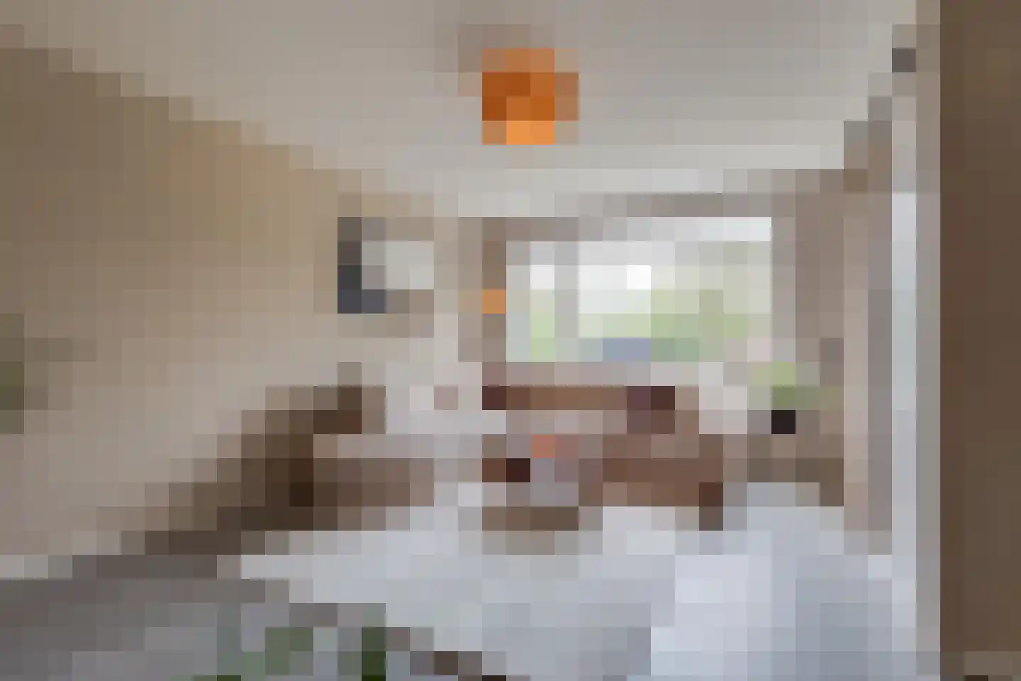 Wentholtstraat 55 Lichtenvoorde thumbnail 4