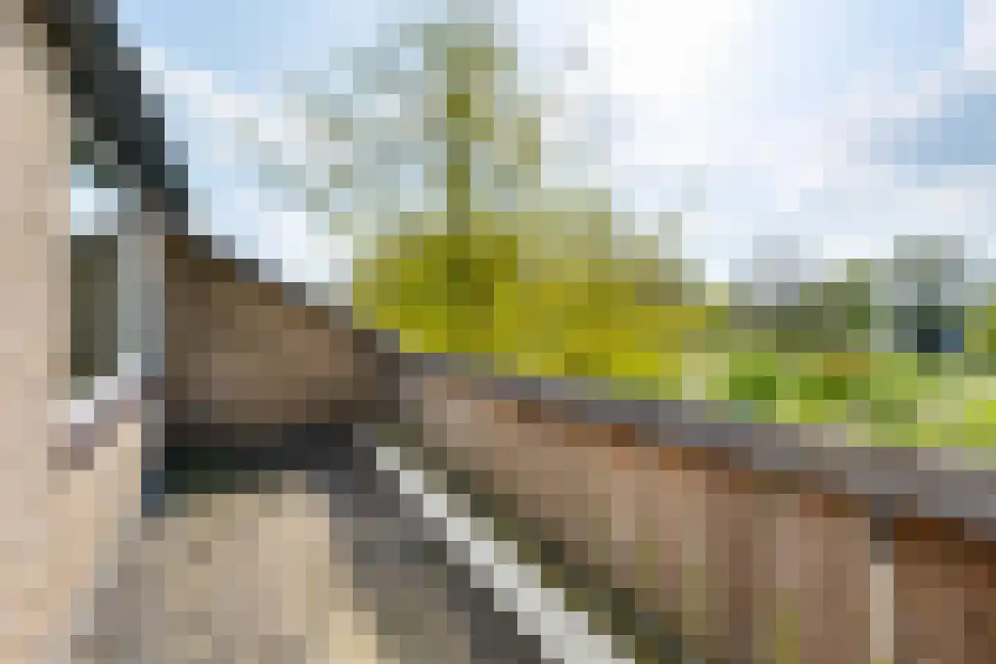 Wentholtstraat 55 Lichtenvoorde thumbnail 43
