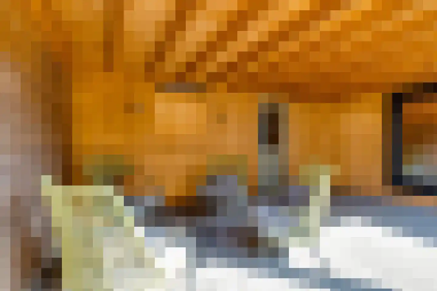 Wentholtstraat 55 Lichtenvoorde thumbnail 57