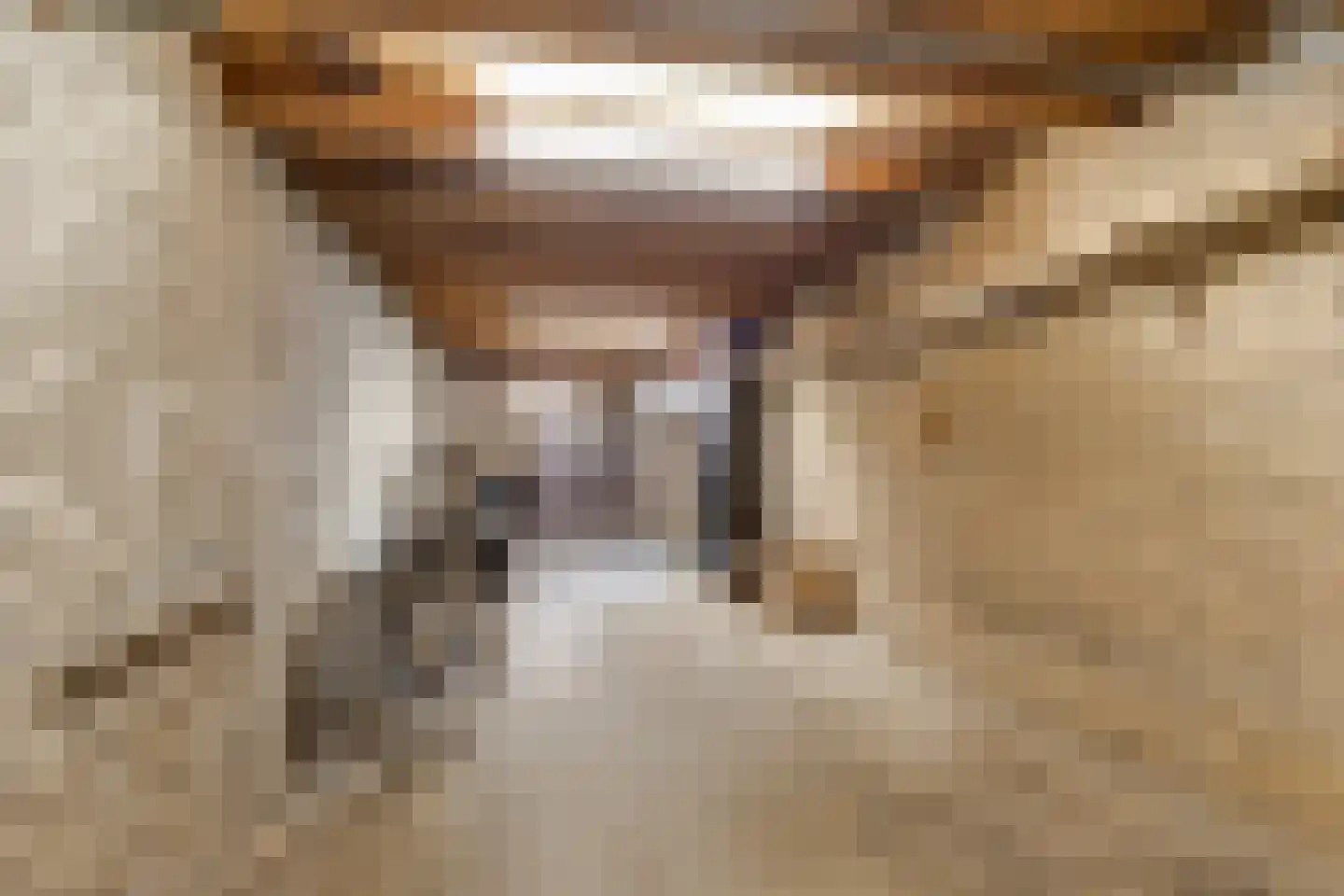 Wentholtstraat 55 Lichtenvoorde thumbnail 65