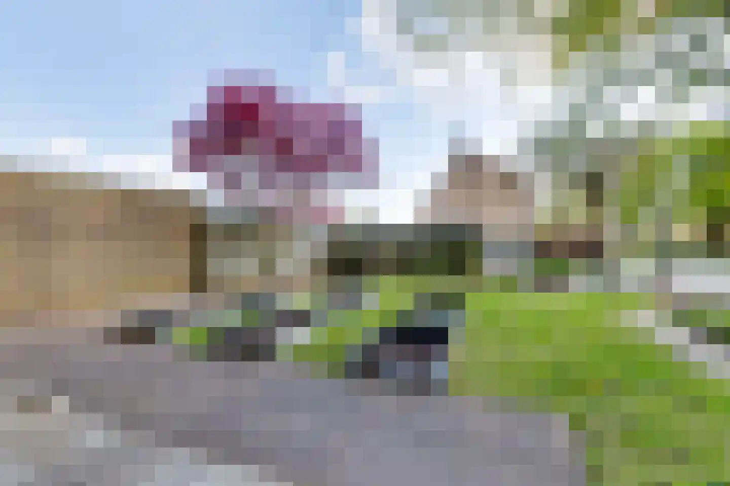 Wentholtstraat 55 Lichtenvoorde thumbnail 76