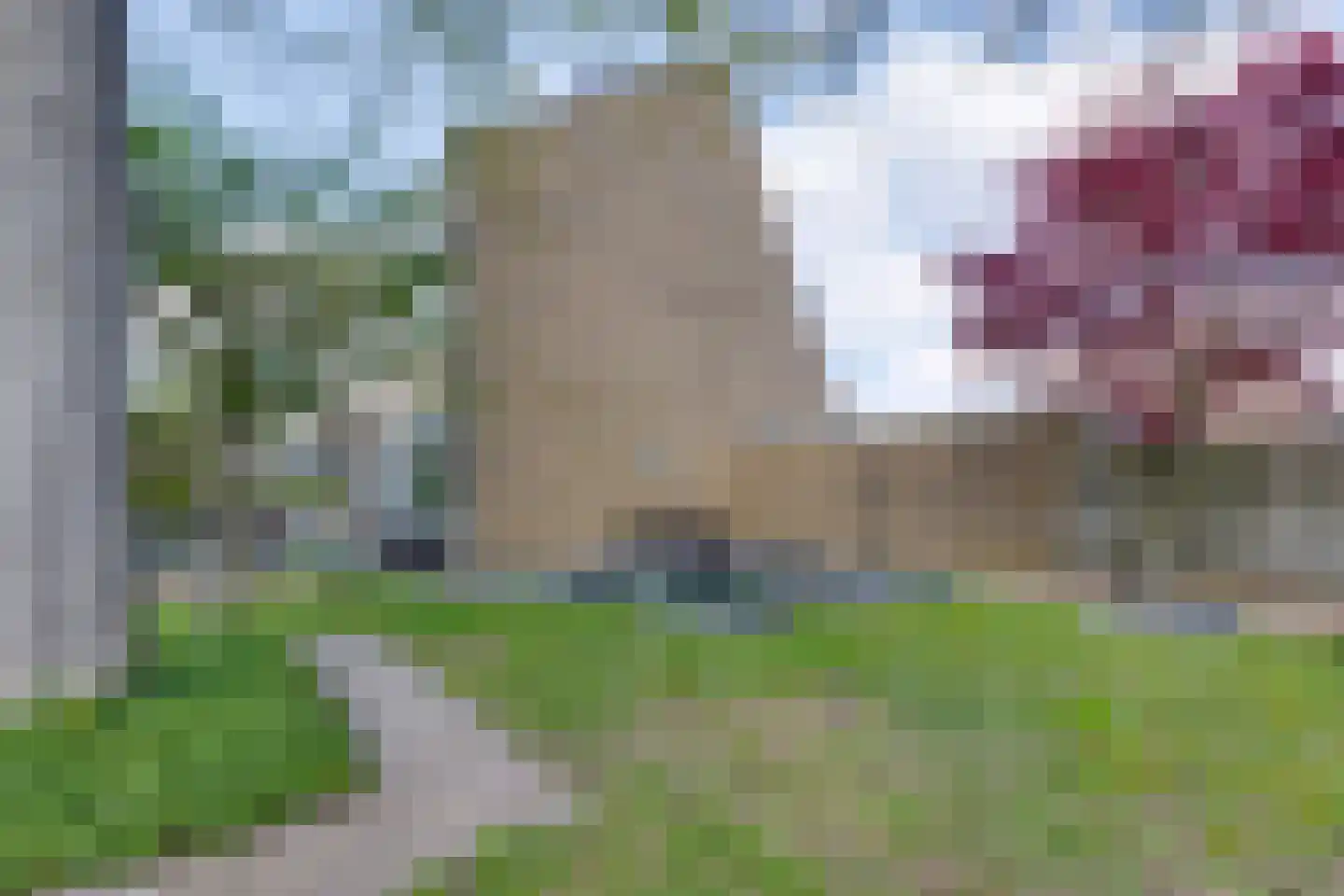 Wentholtstraat 55 Lichtenvoorde thumbnail 77