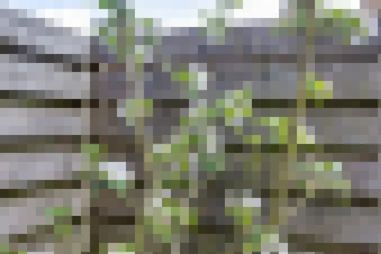 Wentholtstraat 55 Lichtenvoorde thumbnail 79