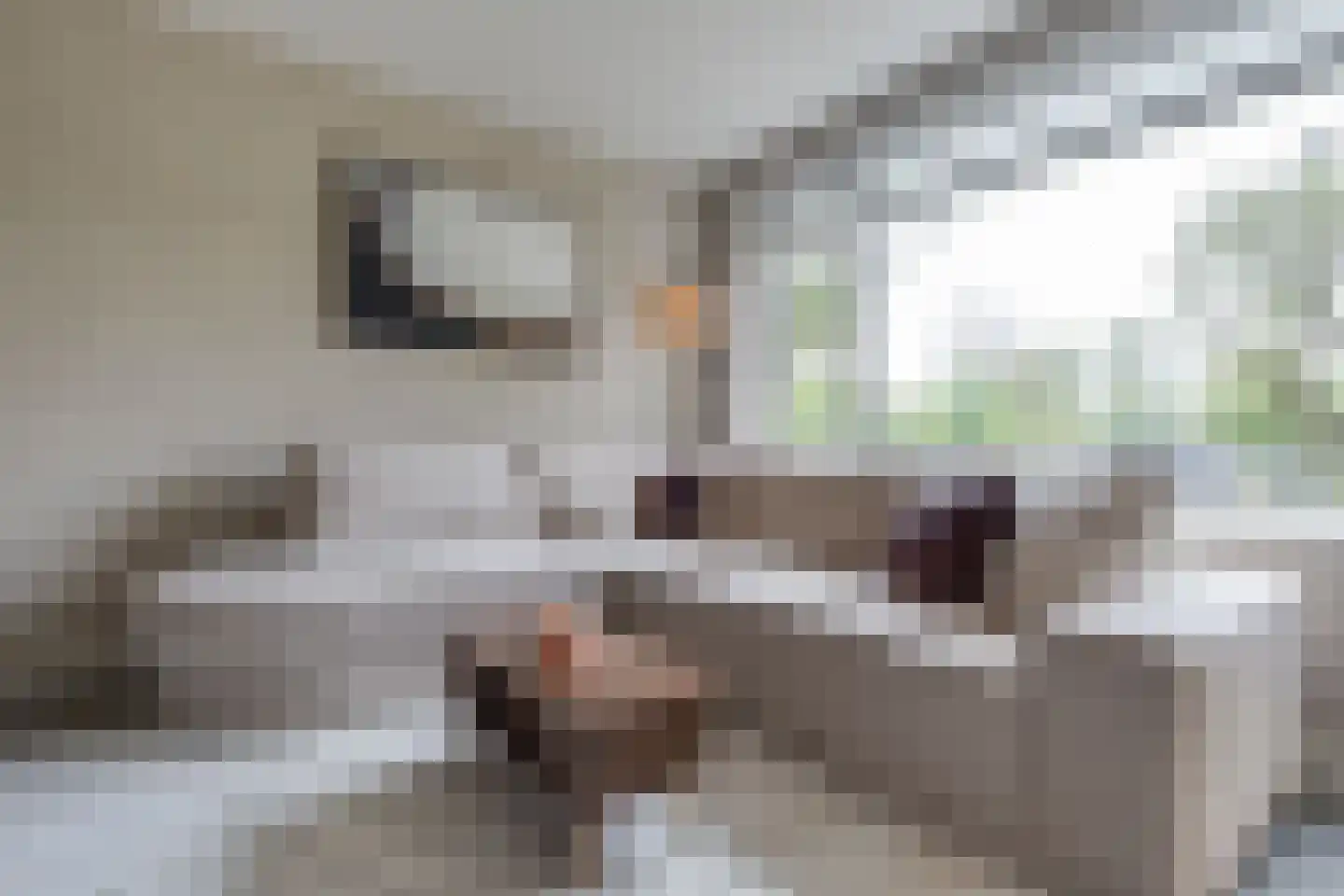 Wentholtstraat 55 Lichtenvoorde thumbnail 8