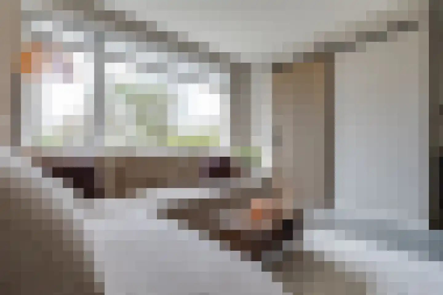 Wentholtstraat 55 Lichtenvoorde thumbnail 9