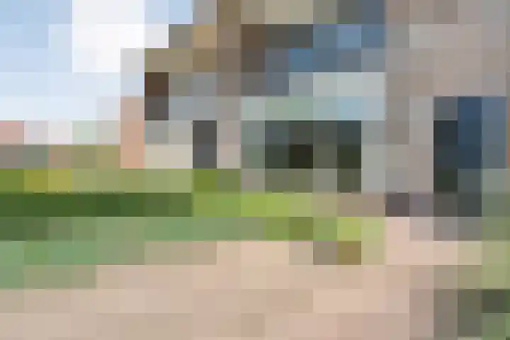 Wentholtstraat 6 Ommen thumbnail 40