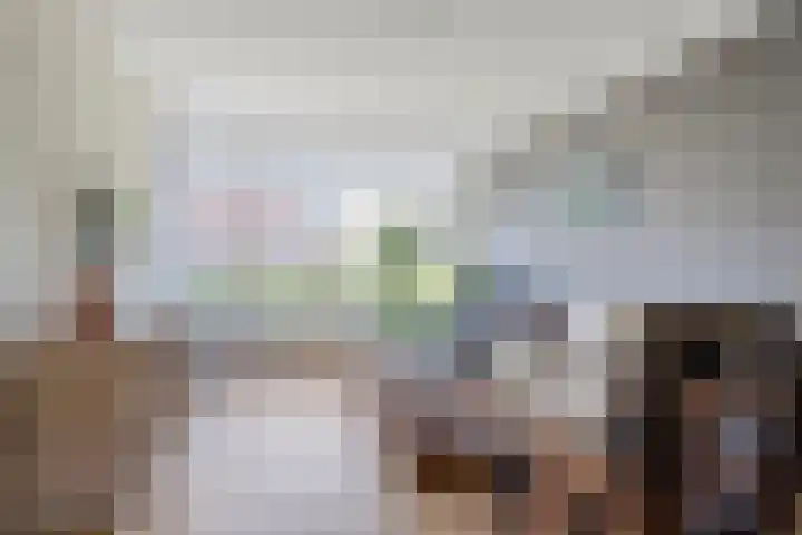 Wentholtstraat 6 Ommen thumbnail 5