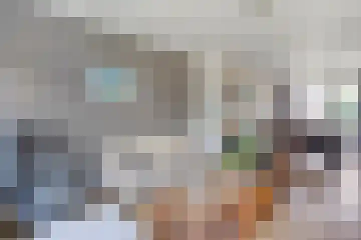 Wentholtstraat 6 Ommen thumbnail 6