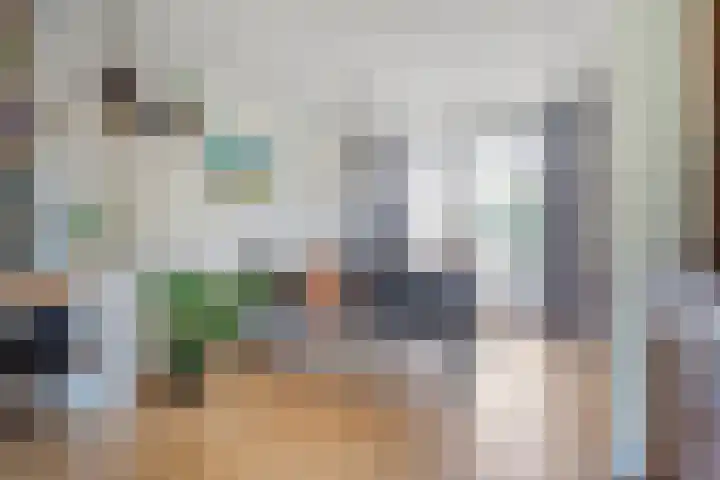 Wentholtstraat 6 Ommen thumbnail 8