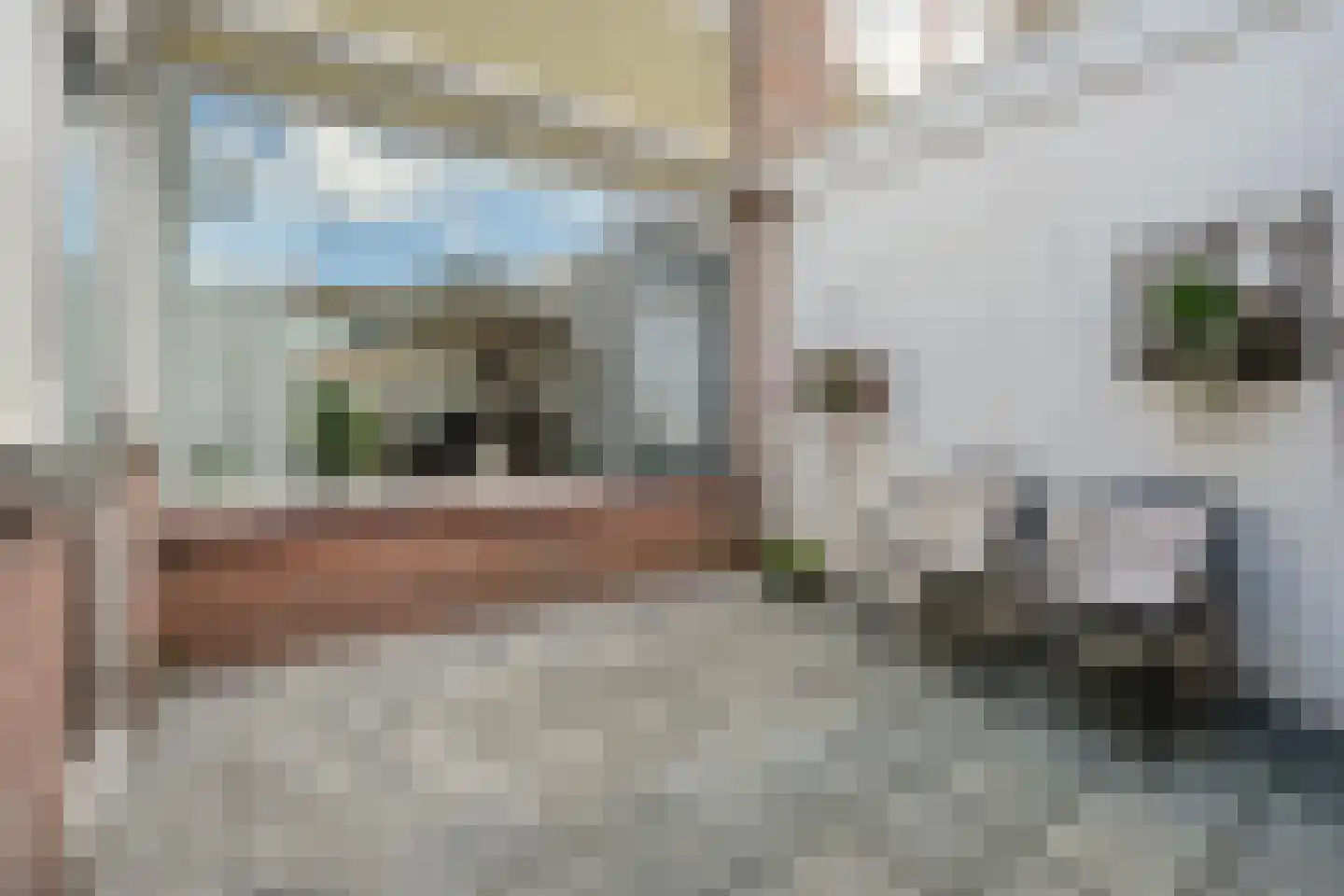 Wentholtstraat 71 Ommen thumbnail 47