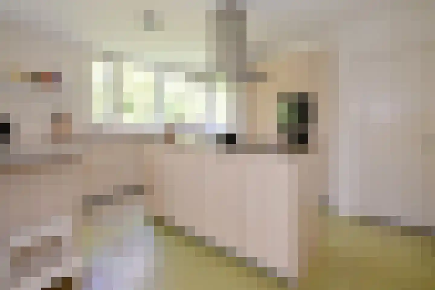 Wentholtweg 1 Epse thumbnail 13