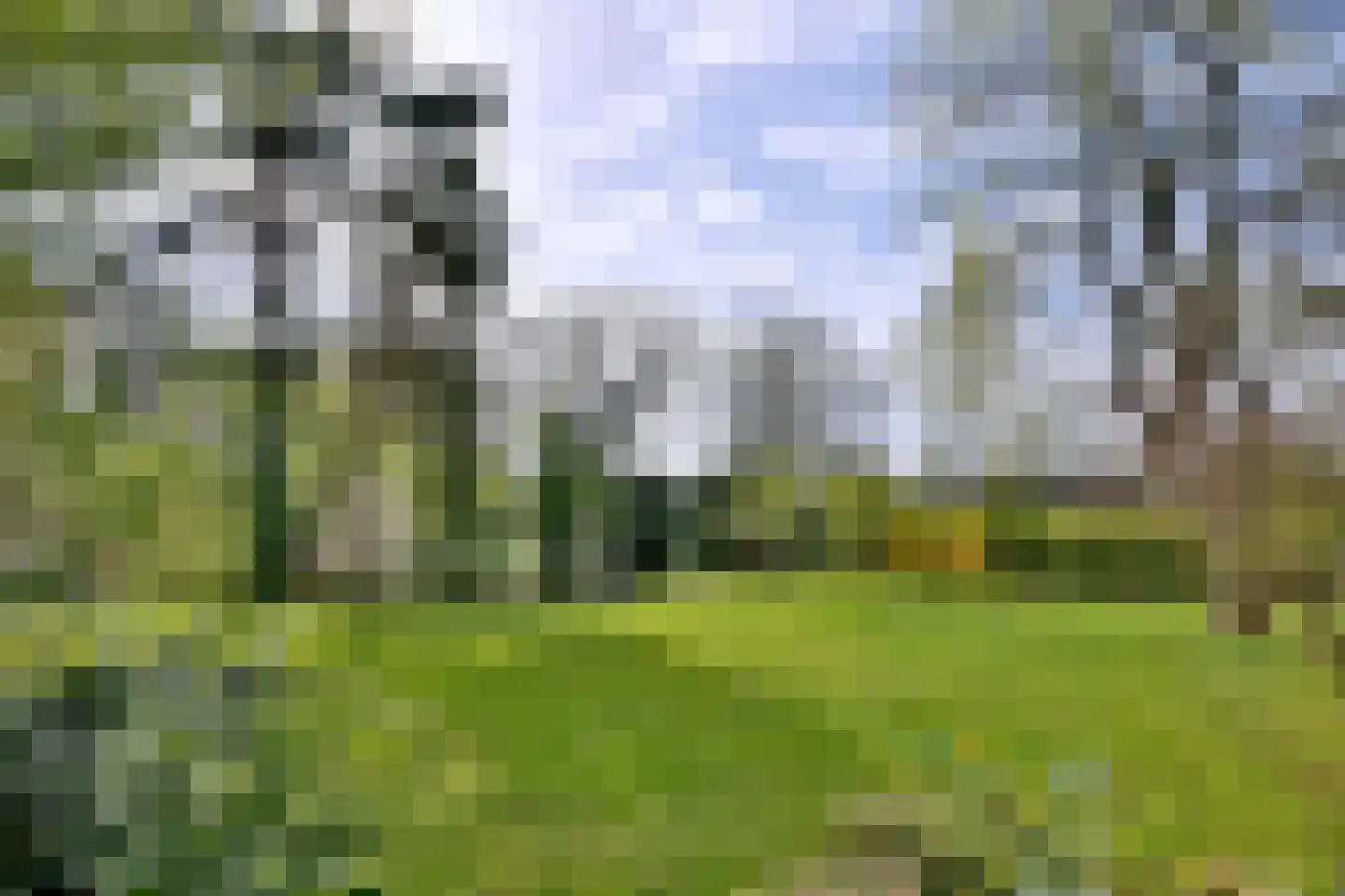 Wentholtweg 1 Epse foto 2