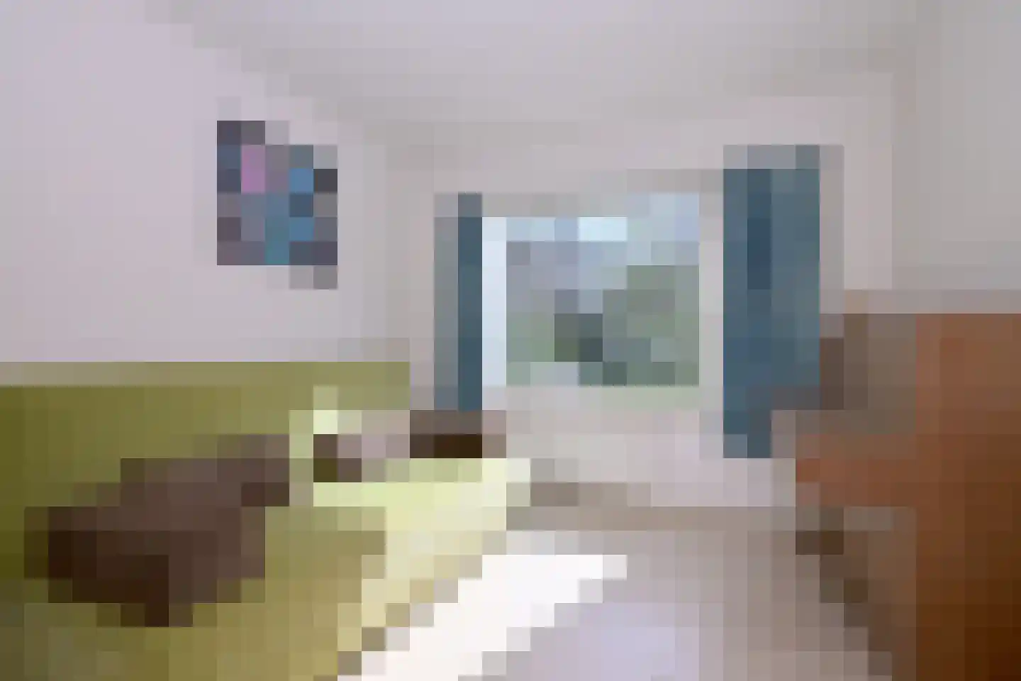 Wentholtweg 1 Epse thumbnail 25