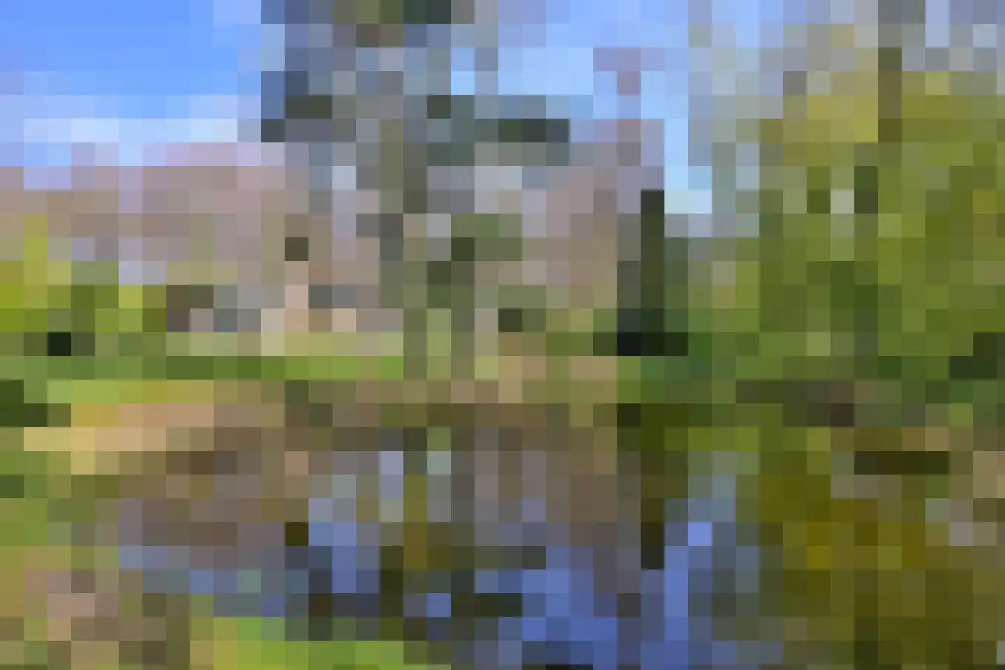 Wentholtweg 1 Epse foto 3
