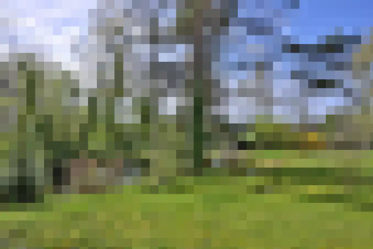 Wentholtweg 1 Epse thumbnail 31