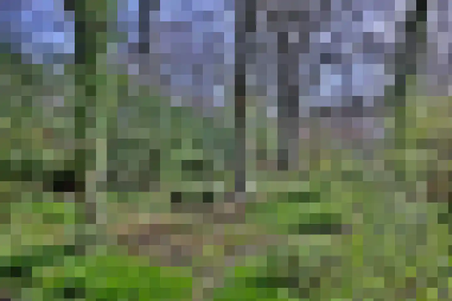 Wentholtweg 1 Epse thumbnail 34