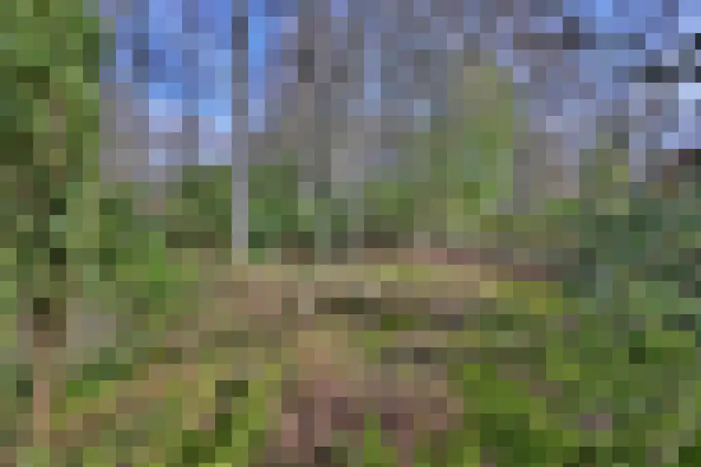 Wentholtweg 1 Epse thumbnail 35
