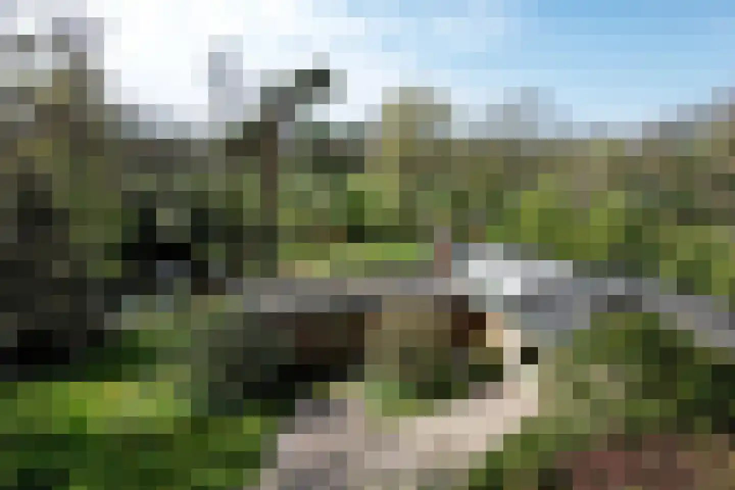 Wentholtweg 1 Epse thumbnail 4