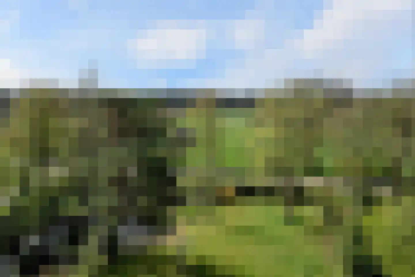 Wentholtweg 1 Epse thumbnail 5
