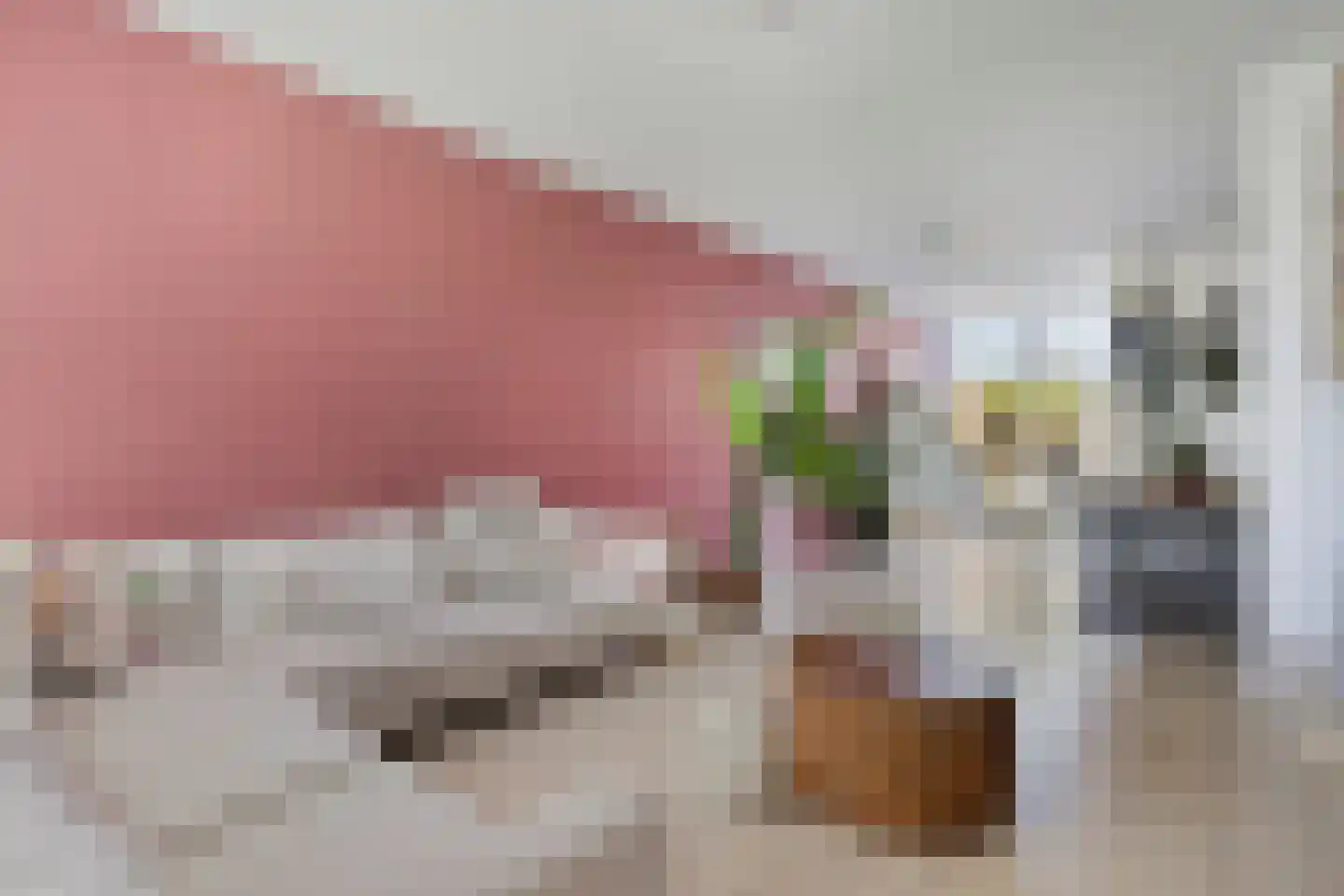 Wenzel van Luxemburgstraat 19 Oss thumbnail 11