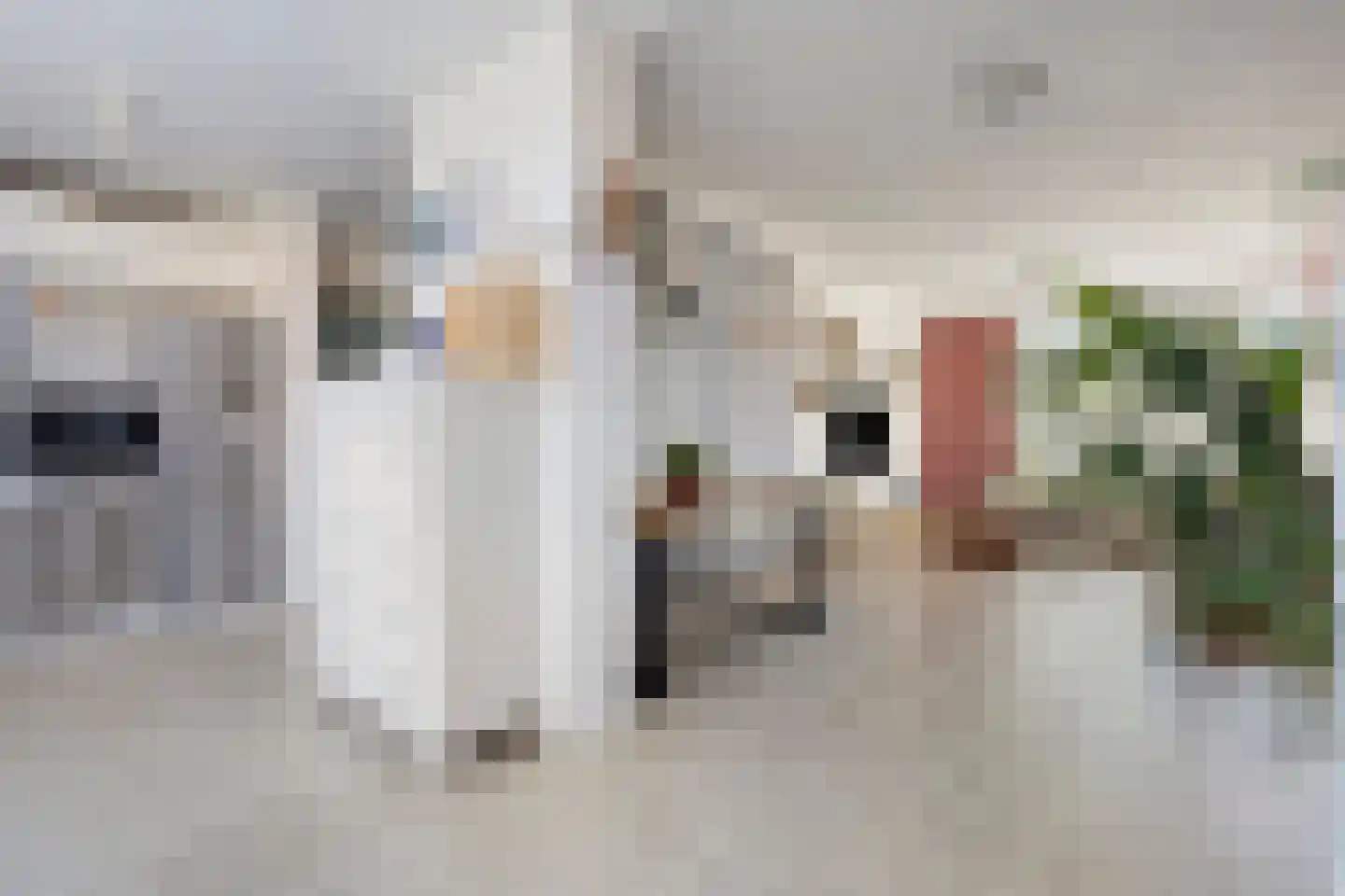 Wenzel van Luxemburgstraat 19 Oss thumbnail 16