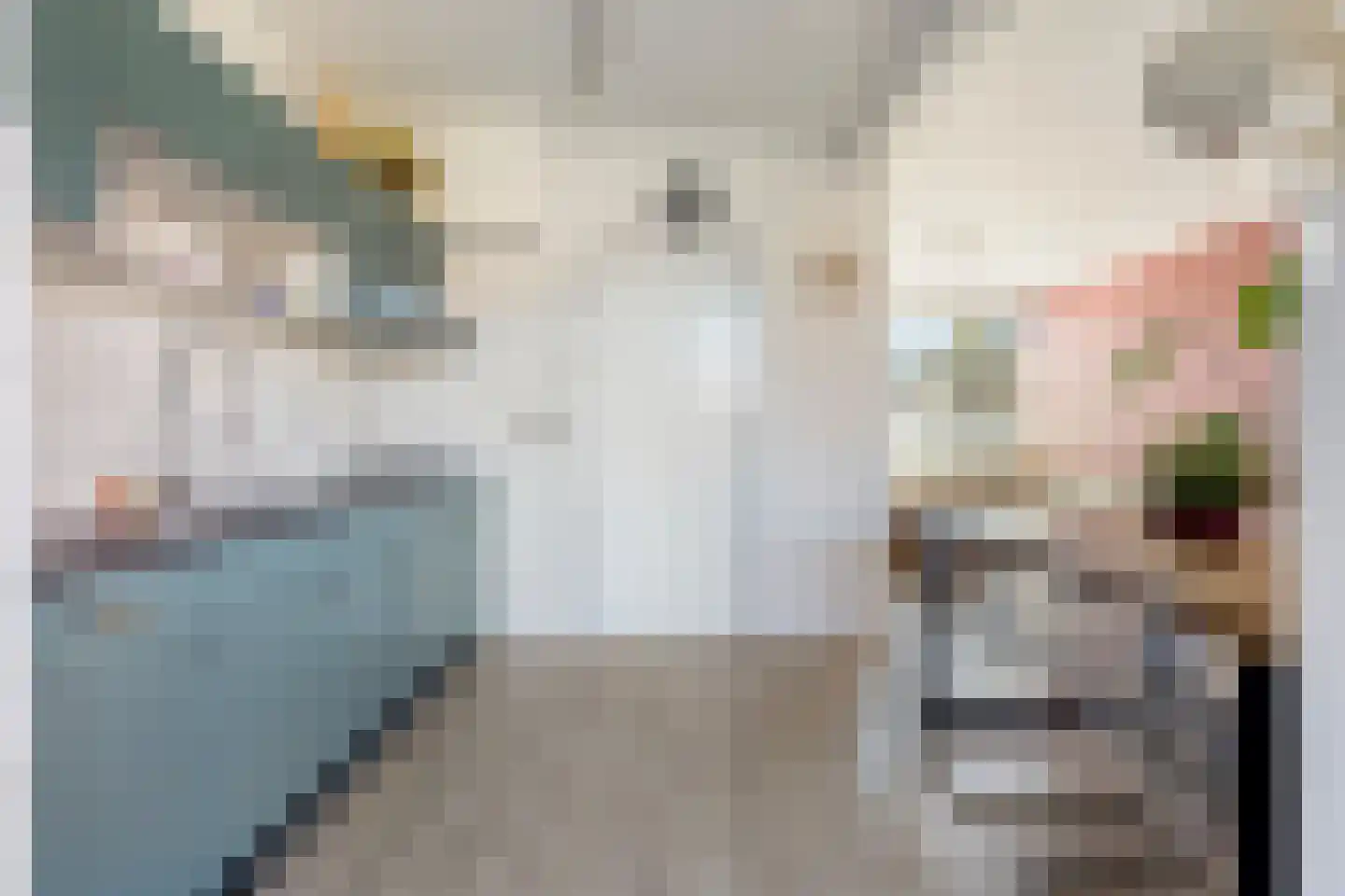 Wenzel van Luxemburgstraat 19 Oss thumbnail 18