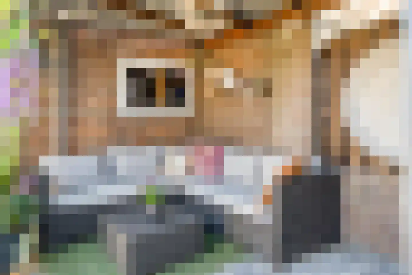 Wenzel van Luxemburgstraat 19 Oss thumbnail 23