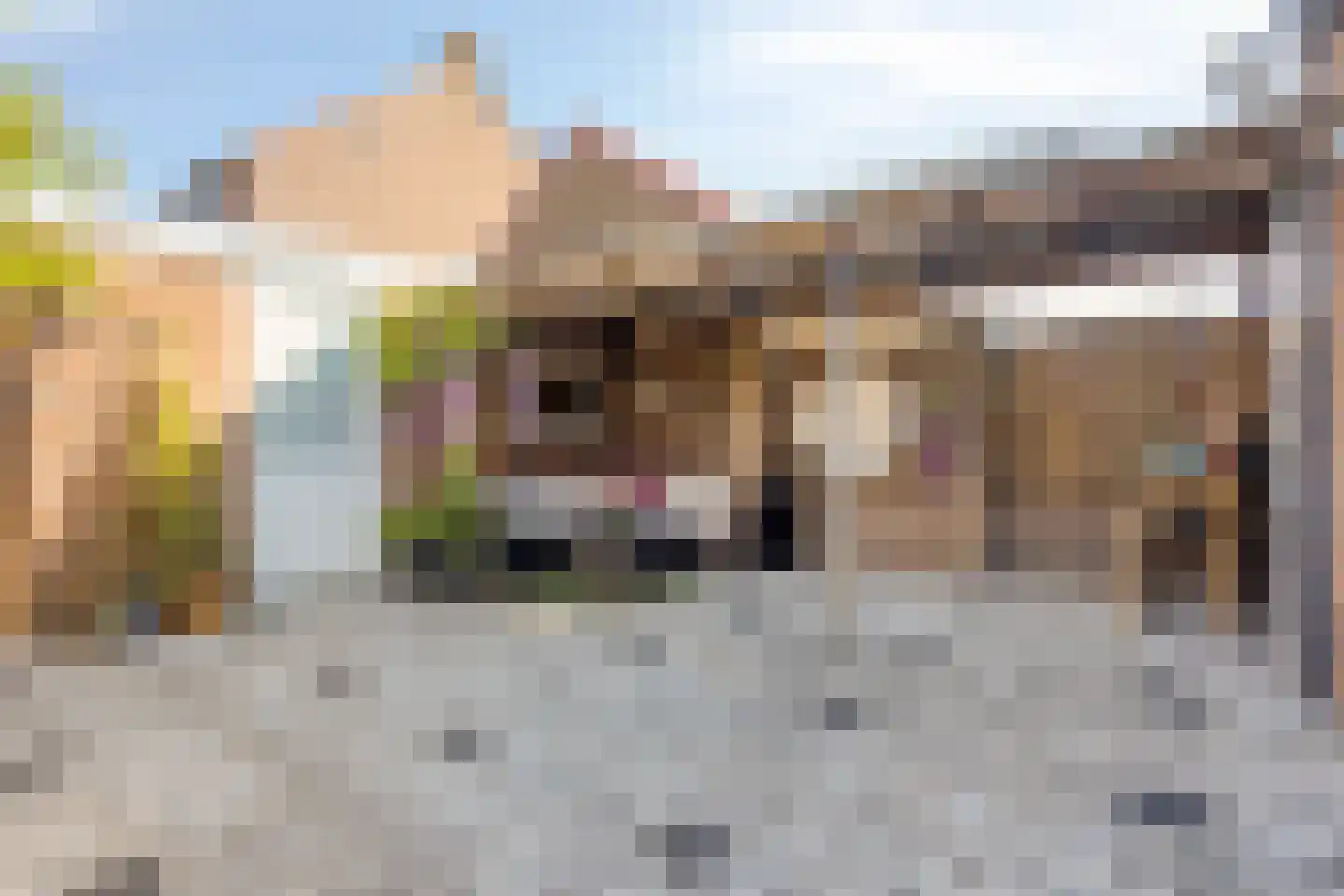 Wenzel van Luxemburgstraat 19 Oss thumbnail 24
