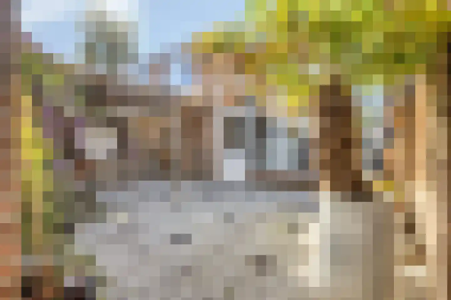 Wenzel van Luxemburgstraat 19 Oss thumbnail 4