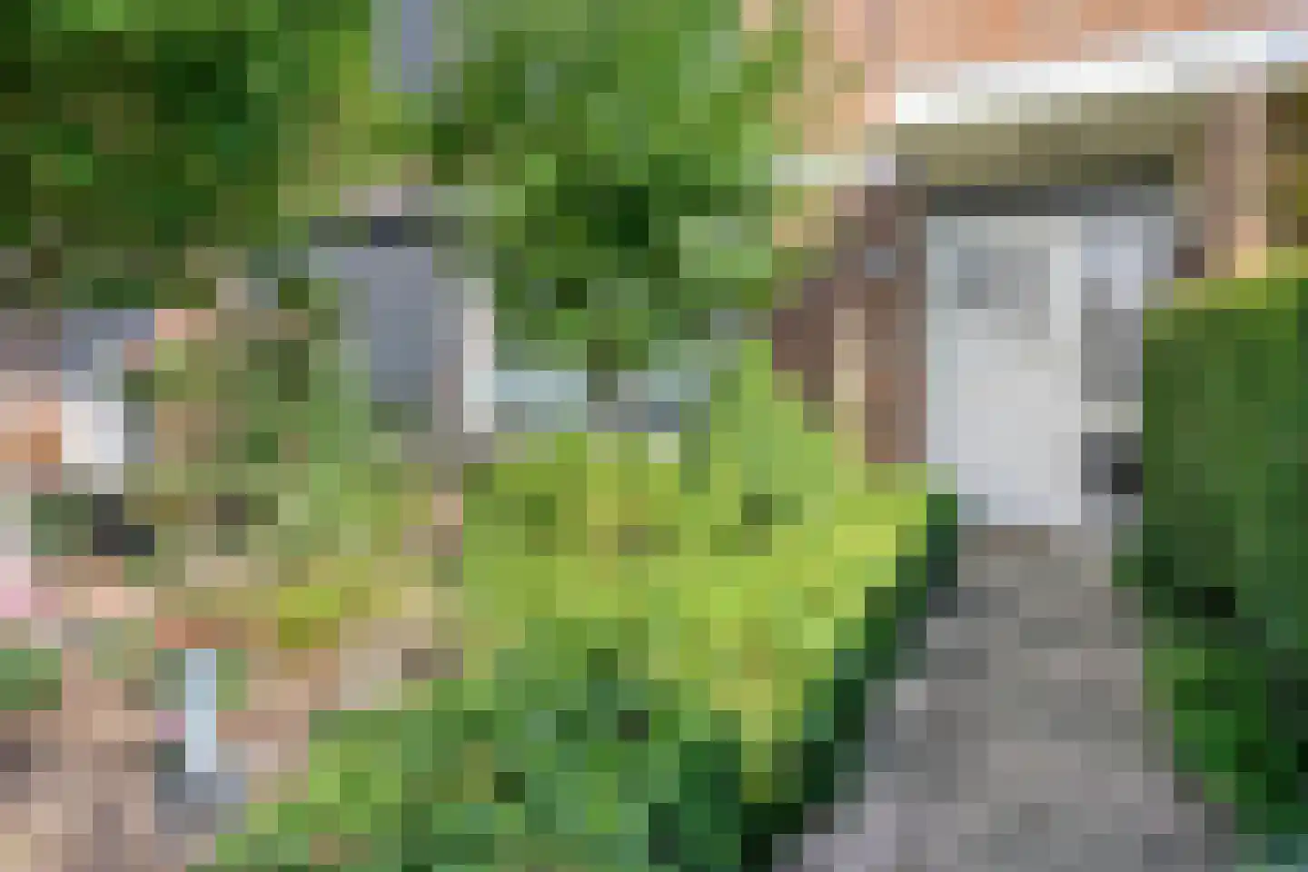 Wenzel van Luxemburgstraat 19 Oss thumbnail 6