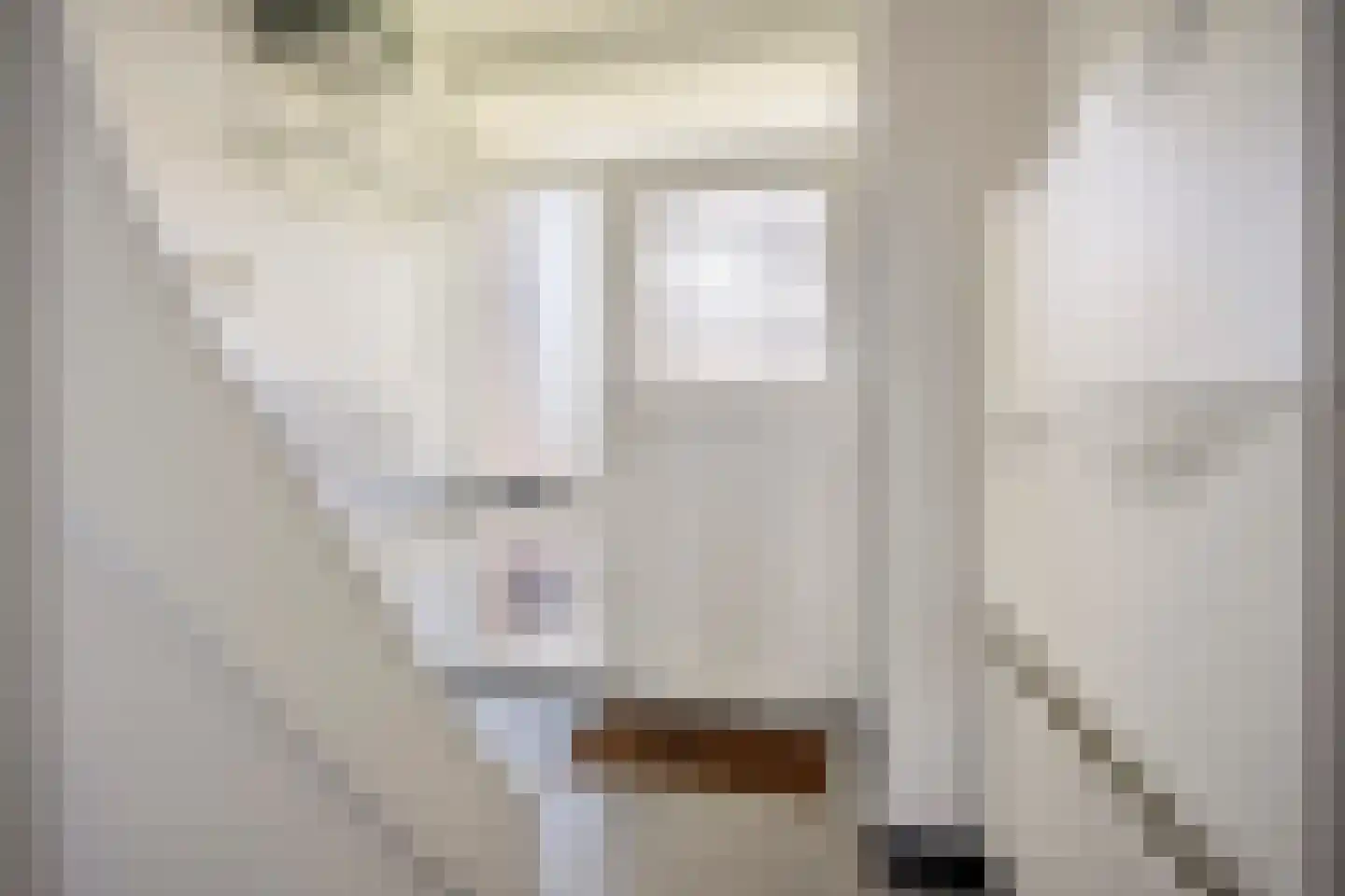 Wenzel van Luxemburgstraat 19 Oss thumbnail 7