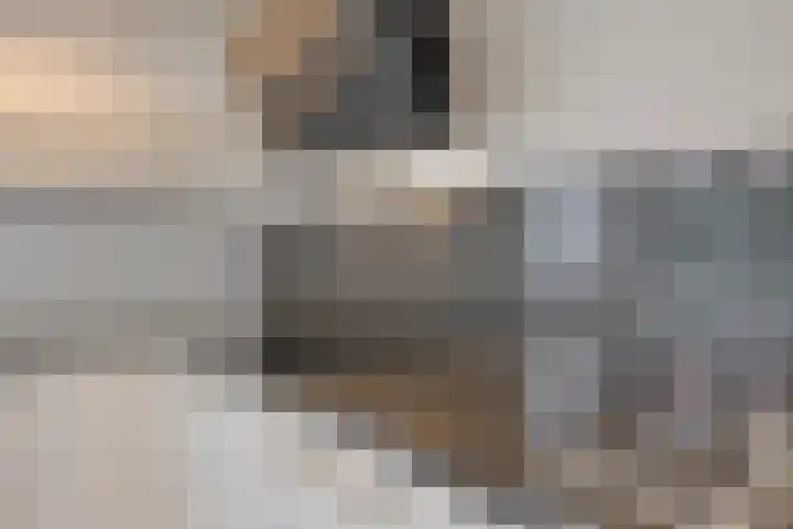 Wenzel van Luxemburgstraat 7 Oss thumbnail 12