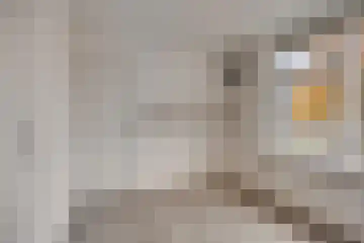 Wenzel van Luxemburgstraat 7 Oss thumbnail 17