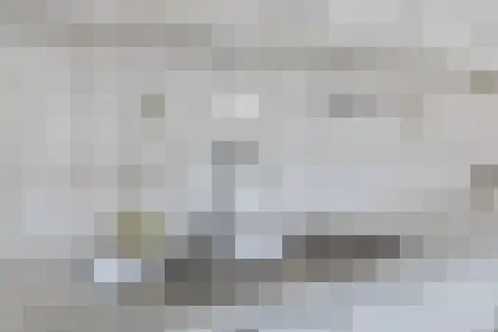 Wepel 15 Annen thumbnail 15