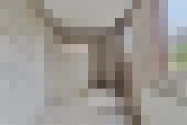 Wepel 15 Annen thumbnail 17
