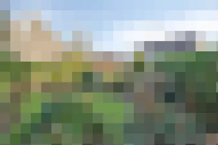 Wepel 15 Annen thumbnail 37