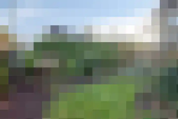 Wepel 15 Annen thumbnail 38